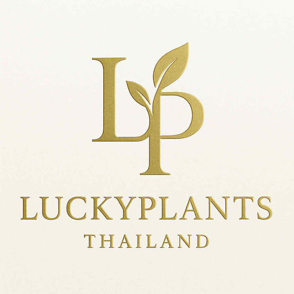 Lucky Plants Thailand 